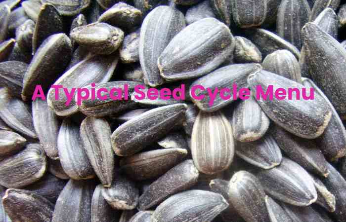 A Typical Seed Cycle Menu