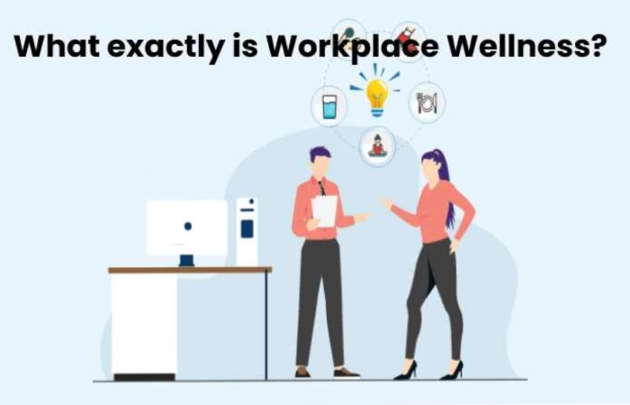 What exactly is Workplace Wellness?