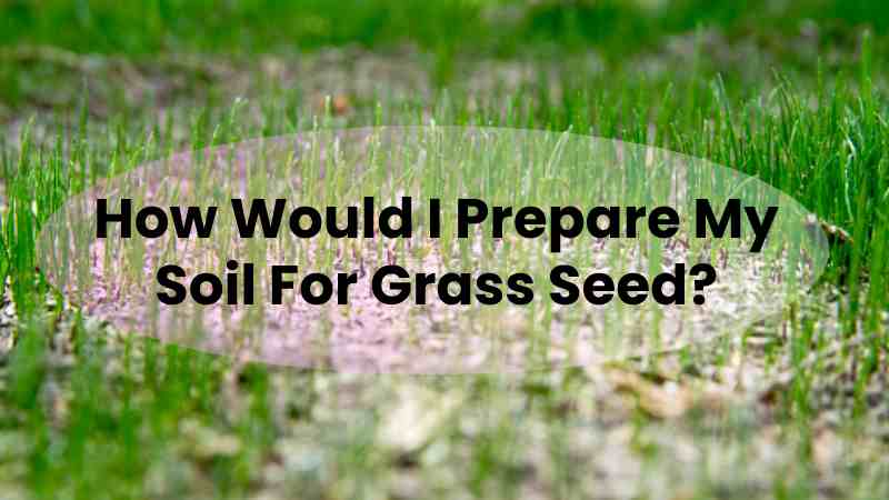 How Would I Prepare My Soil For Grass Seed?