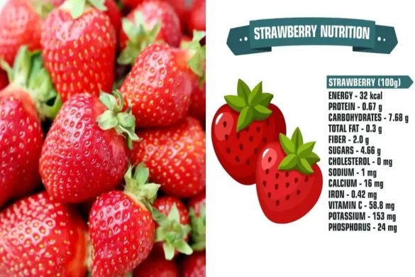 Nutrition of Strawberries' Health Benefits