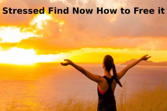 Stressed Find Now How to Free it