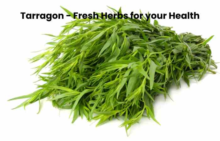 Tarragon - Fresh Herbs for your Health