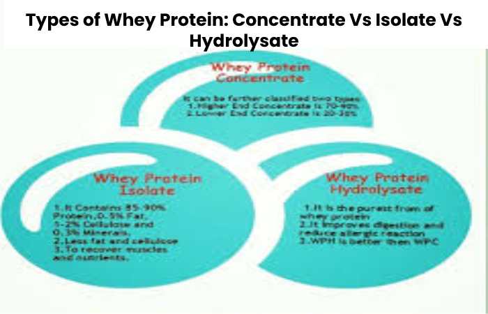 Types of Whey Protein: Concentrate Vs Isolate Vs Hydrolysate