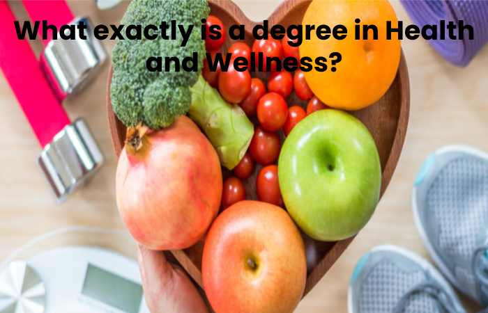 What exactly is a degree in Health and Wellness?