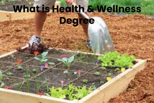 What is Health & Wellness Degree