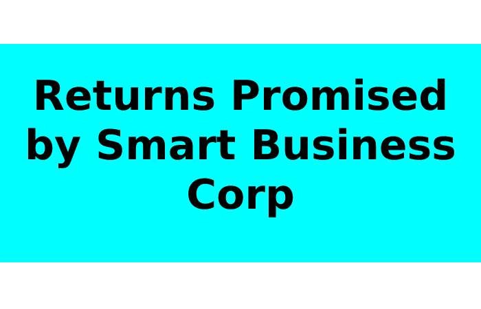 Returns Promised by Smart Business Corp