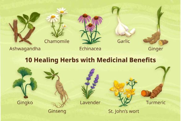 10 Common Fresh Herbs for your Health