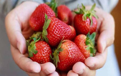 Nutrition of Strawberries' Health Benefits