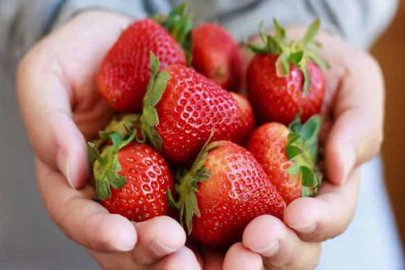 Nutrition of Strawberries' Health Benefits