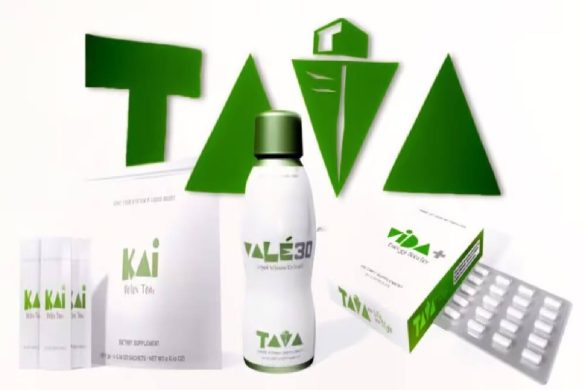TAVA LifeStyle First Year in Business